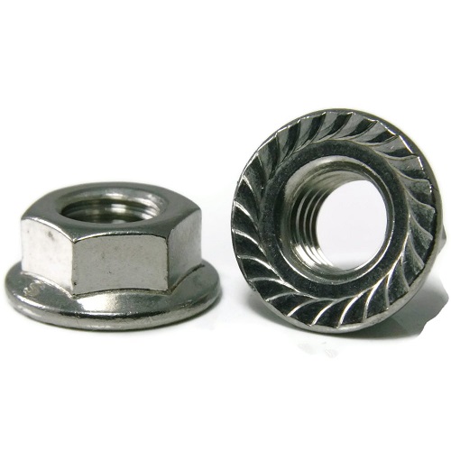 Stainless Steel Flange Nut Manufacturer in India