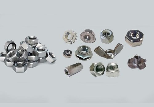 MM Nut 2H Manufacturer in India